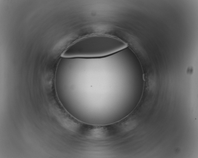 X0000110980505200906191407