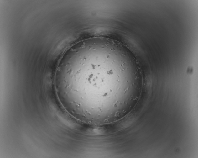 X0000110980506200906191407