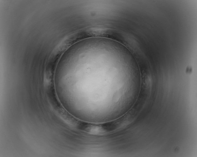 X0000110980507200906191407