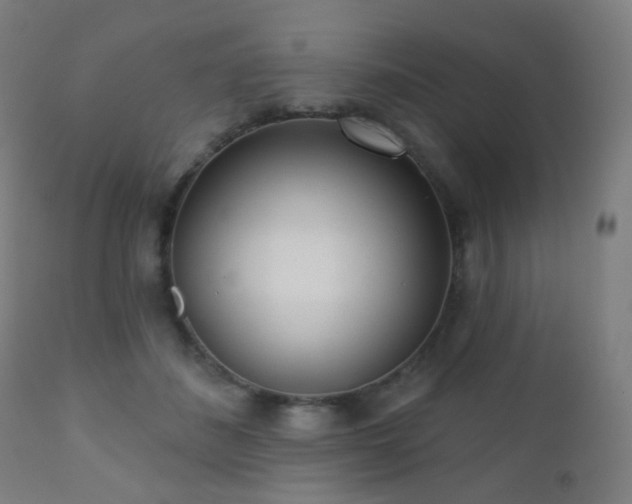 X0000110980508200906191407