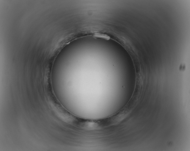 X0000110980509200906191407