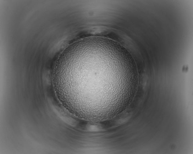 X0000110980510200906191407