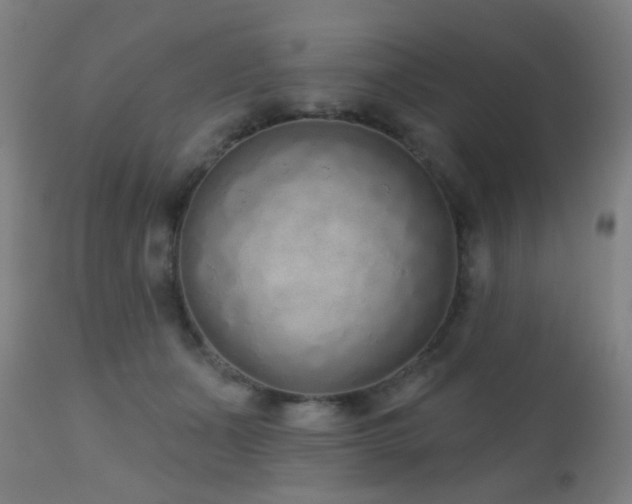 X0000110980511200906191406