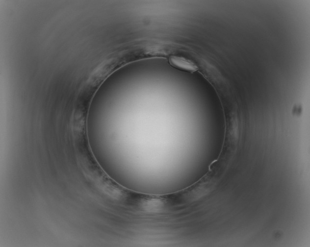 X0000110980513200906191406