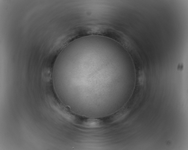 X0000110980514200906191406