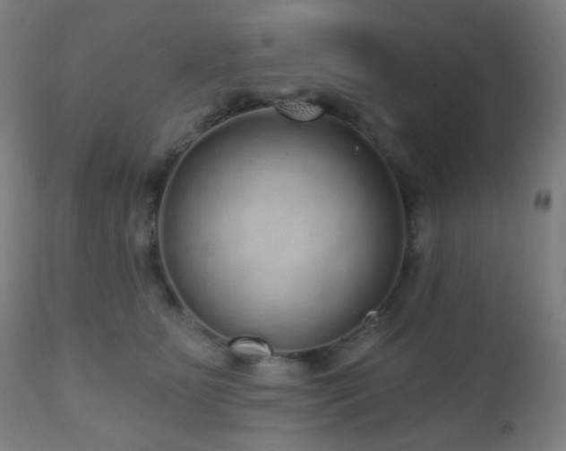 X0000110980515200906191406