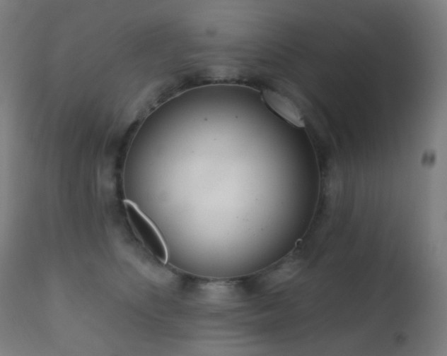 X0000110980516200906191406