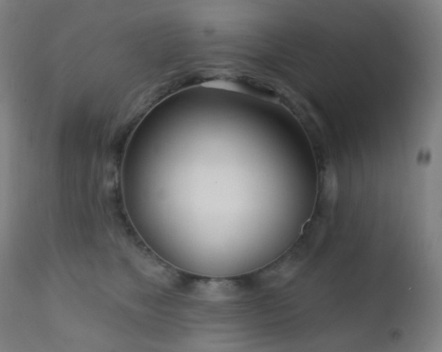 X0000110980517200906191406