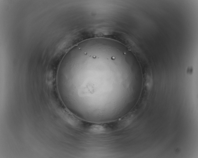 X0000110980519200906191406