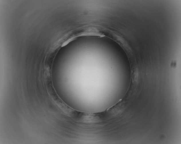 X0000110980521200906191406