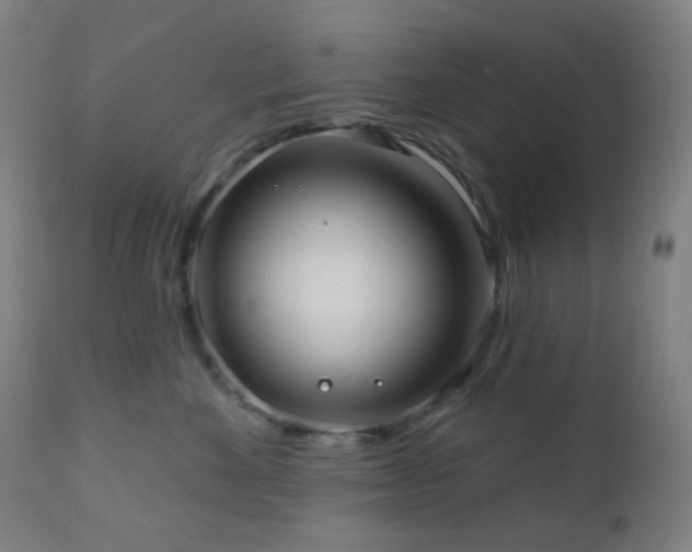 X0000110980524200906191406