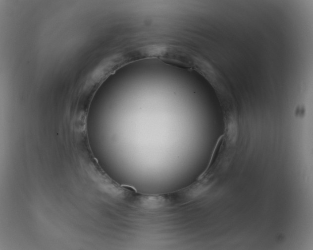 X0000110980525200906191406