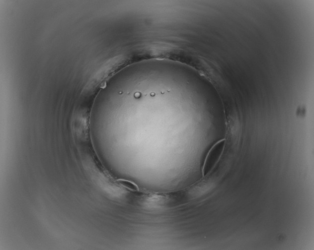 X0000110980527200906191406