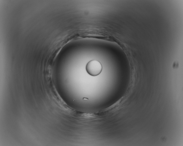 X0000110980528200906191406