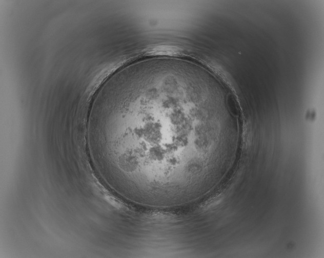 X0000110980529200906191406