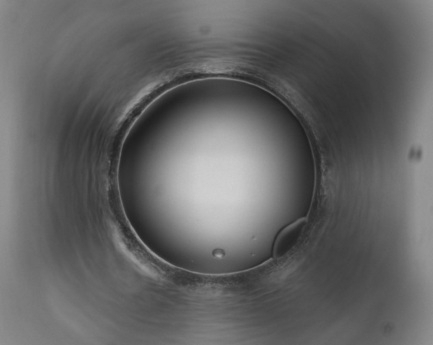 X0000110980530200906191406