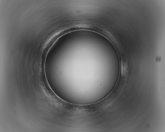 X0000110980531200906191406