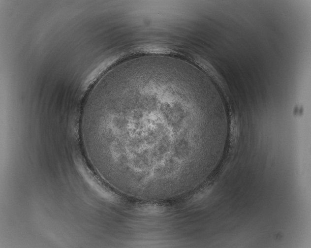 X0000110980533200906191406