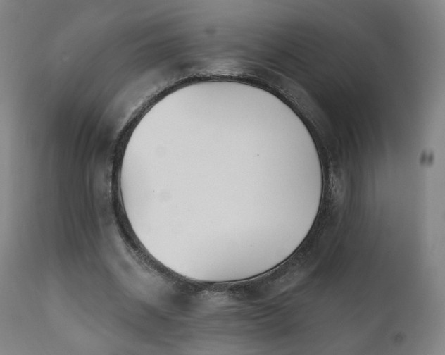 X0000110980534200906191406