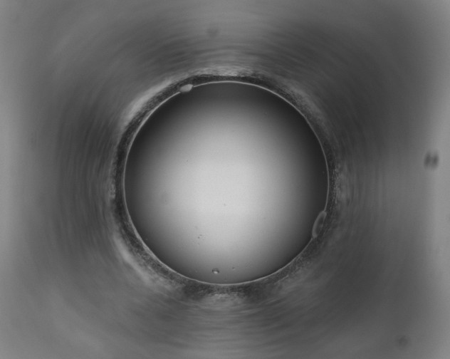 X0000110980536200906191406