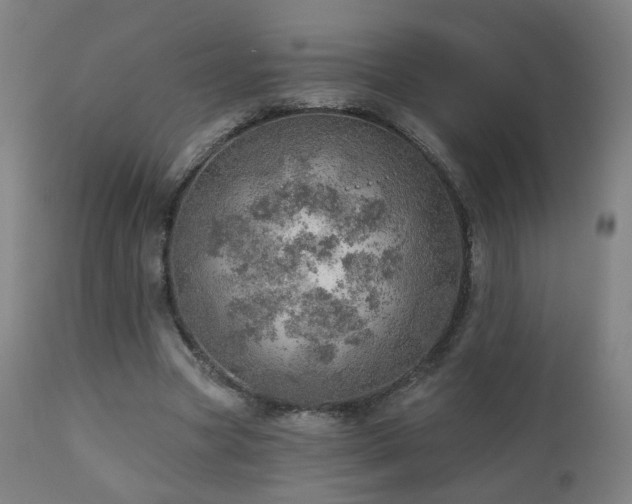 X0000110980537200906191406