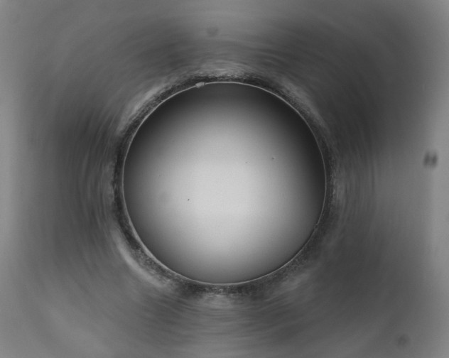 X0000110980538200906191406