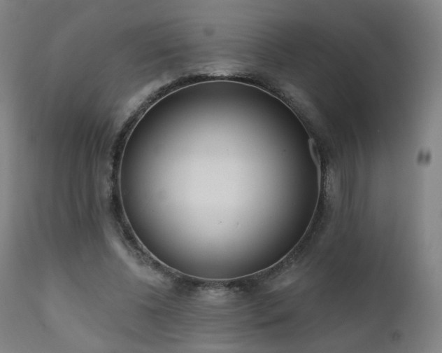 X0000110980540200906191406