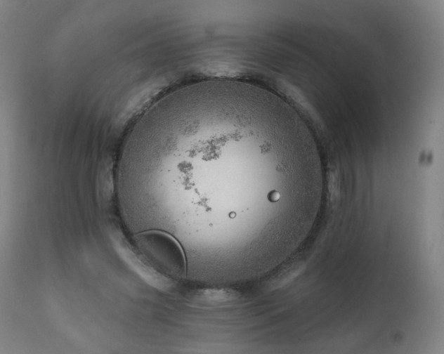 X0000110980541200906191406