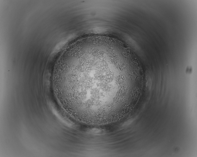 X0000110980542200906191406