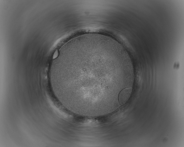 X0000110980543200906191406