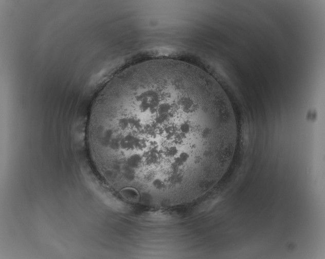 X0000110980545200906191406