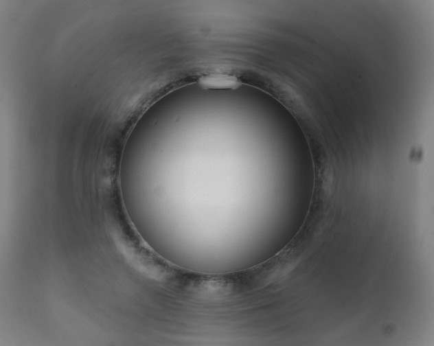 X0000110980546200906191406