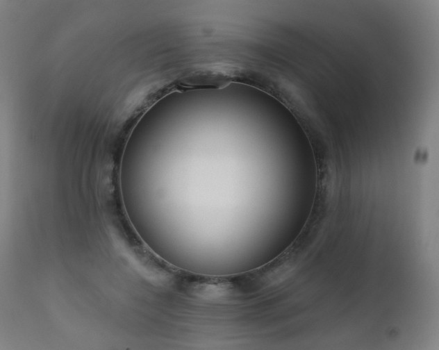 X0000110980548200906191406