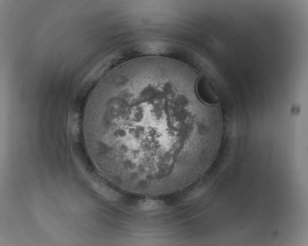 X0000110980549200906191406