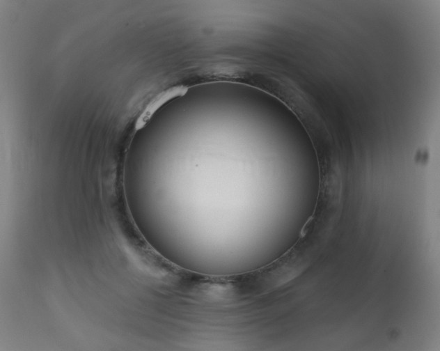 X0000110980552200906191406