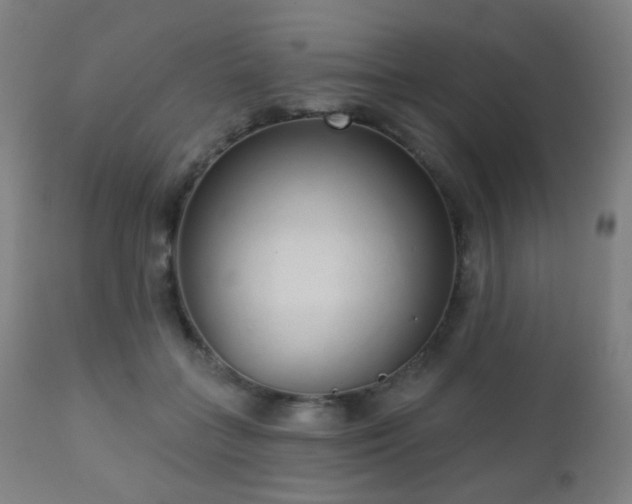 X0000110980555200906191406