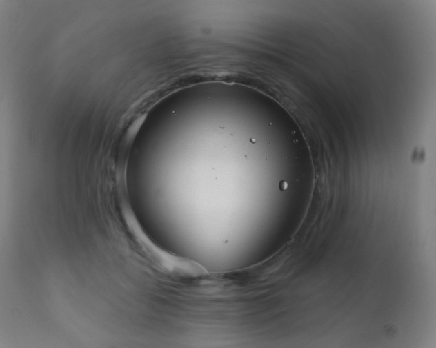 X0000110980556200906191406