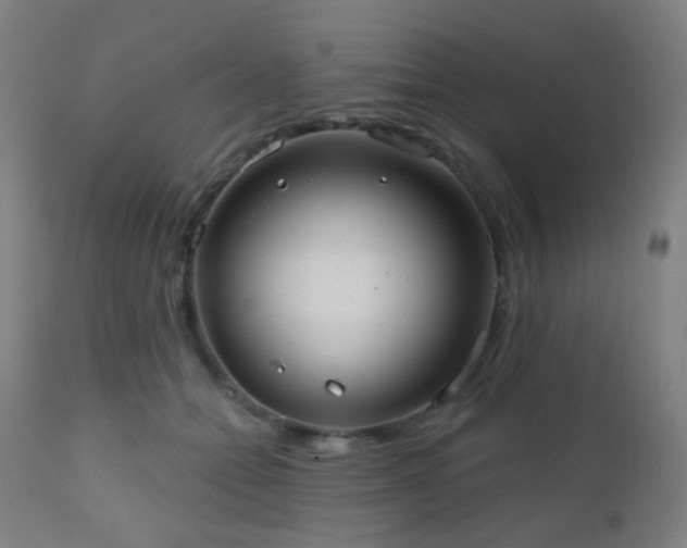 X0000110980558200906191406