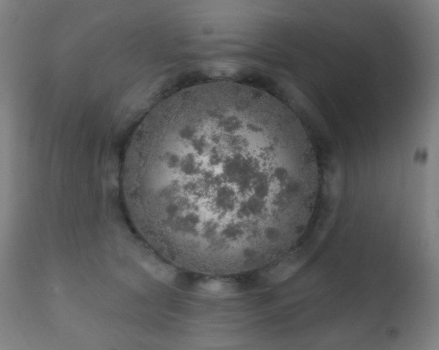 X0000110980561200906191406