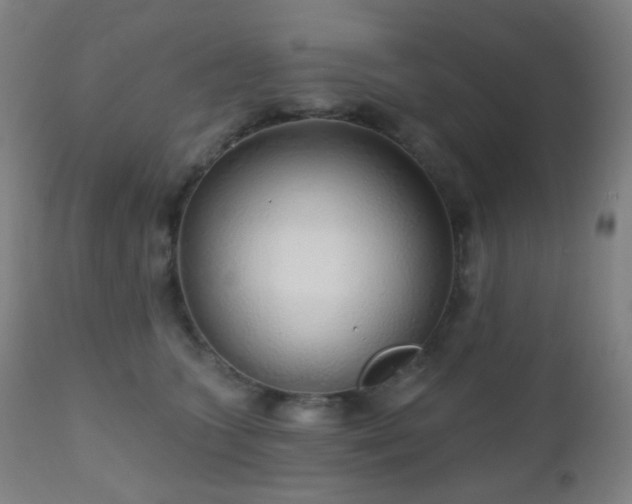 X0000110980563200906191406