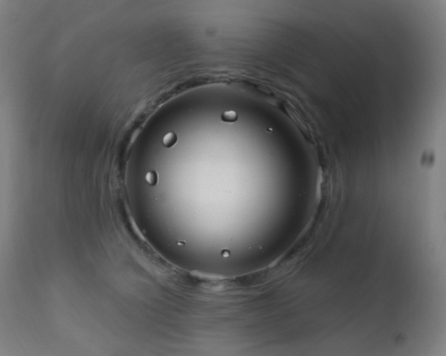 X0000110980564200906191406