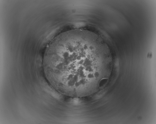 X0000110980565200906191406