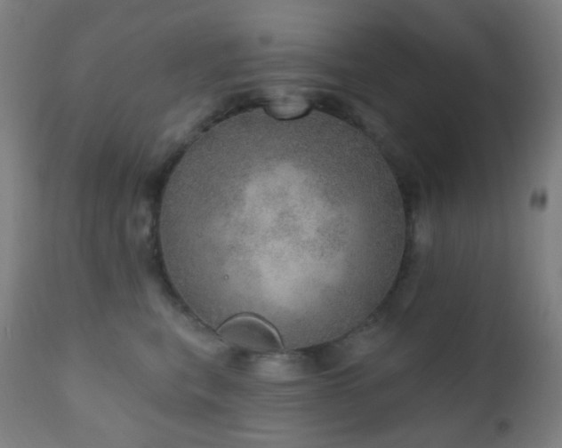 X0000110980567200906191406