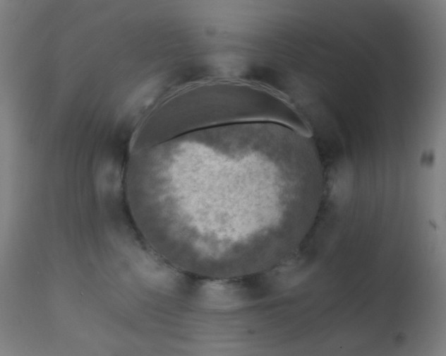 X0000110980568200906191406