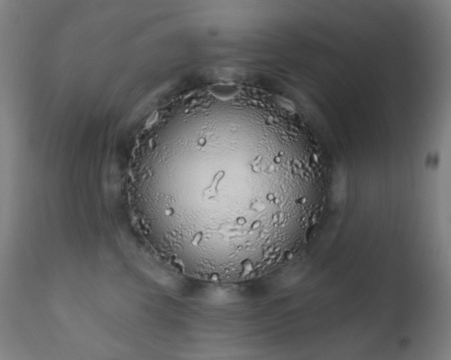 X0000110980569200906191406