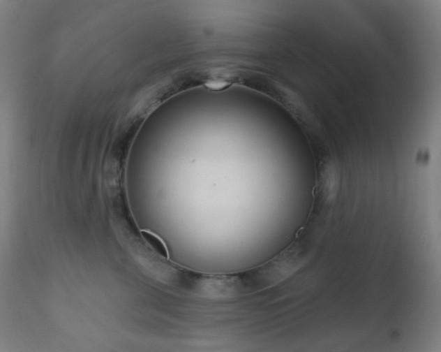 X0000110980571200906191406