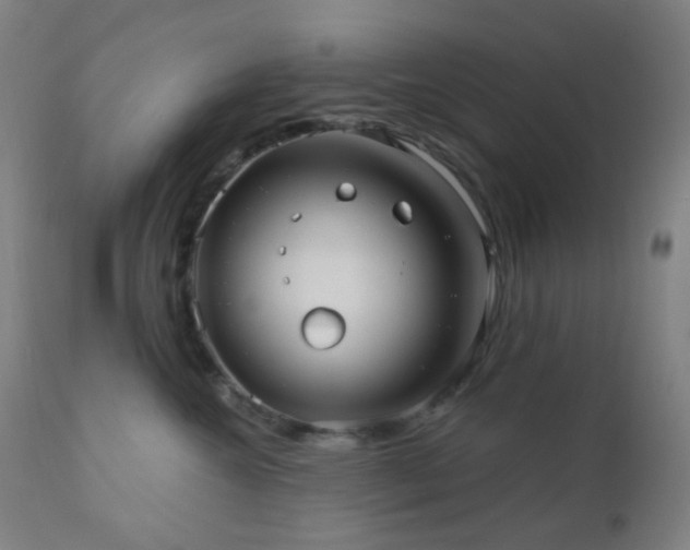 X0000110980572200906191406