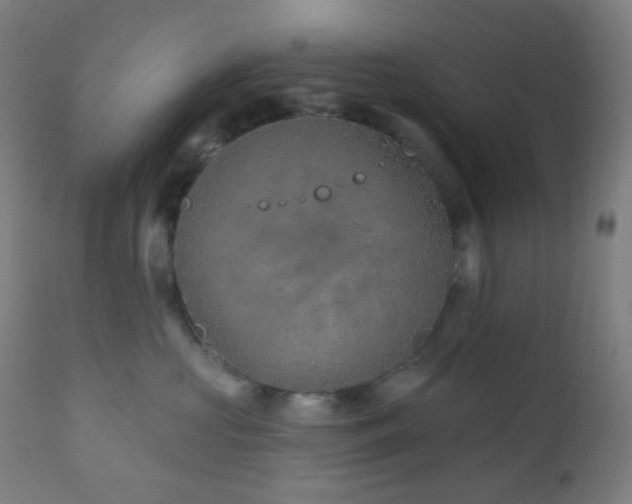 X0000110980573200906191406