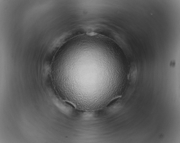 X0000110980574200906191406