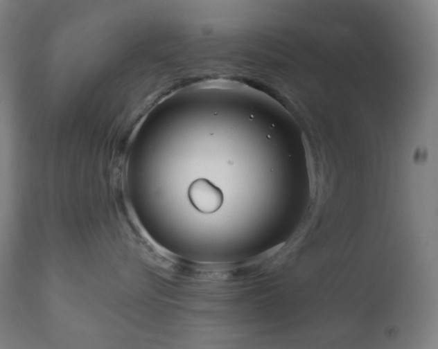 X0000110980576200906191406